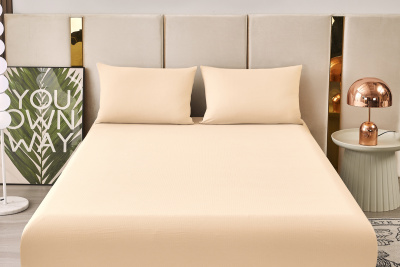 Комплект постельных принадлежностей, простыня на резинке Борт 25 + 2 наволочки 50*70 экрю экрю